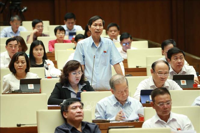 Trong ảnh: Đại biểu Quốc hội tỉnh Ninh Bình Bùi Văn Phương phát biểu ý kiến. Ảnh: Doãn Tấn - TTXVN
