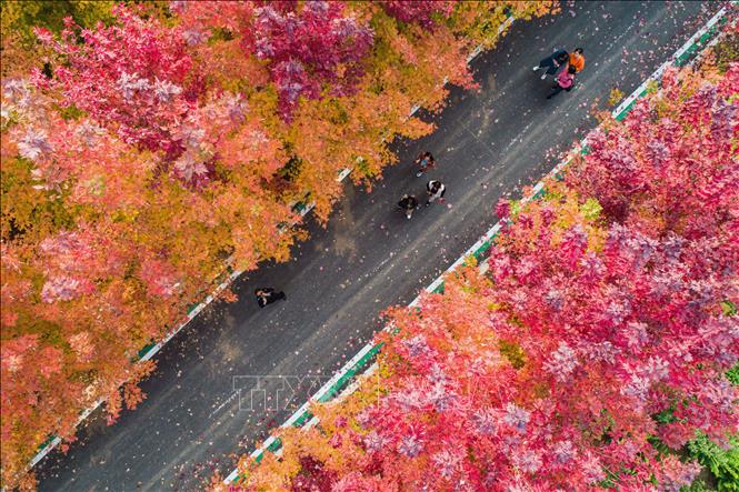 Trung Quốc cảnh đẹp Mùa thu - Ảnh thời sự quốc tế - Văn hóa xã hội ...