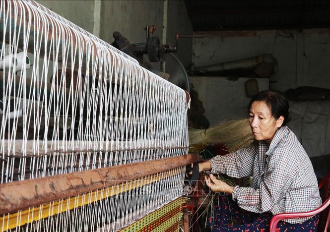 Trong ảnh: Dệt chiếu bằng máy. Ảnh: Nam Thái - TTXVN