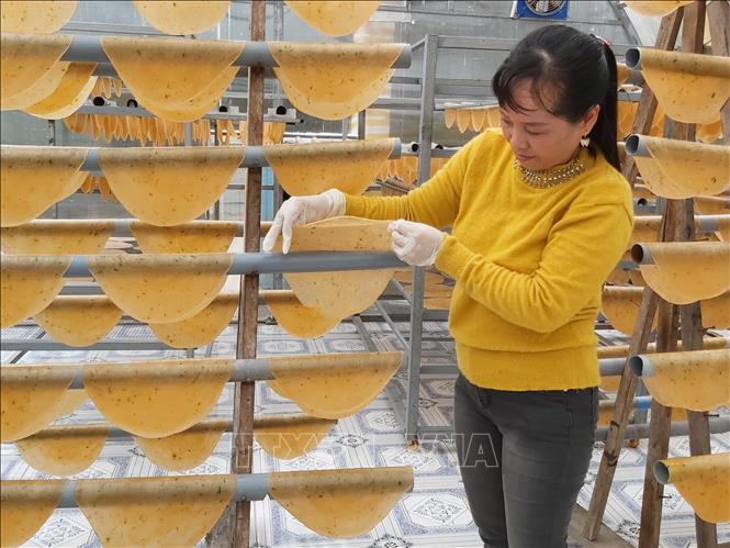 Trong ảnh: Kiểm tra bánh phồng tôm trong lò sấy bằng năng lượng mặt trời, có hộ có thể cung ứng 1 tấn bánh phồng tôm mỗi tháng. Ảnh: Hồng Nhung - TTXVN