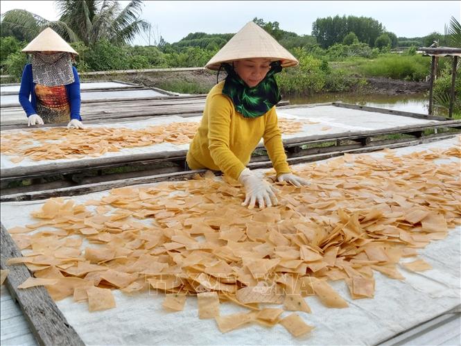 Trong ảnh: Cơ sở sản xuất bánh phồng tôm Kim Tiền phơi bánh phồng tôm sau khi cắt nhỏ. Ảnh: Hồng Nhung - TTXVN 