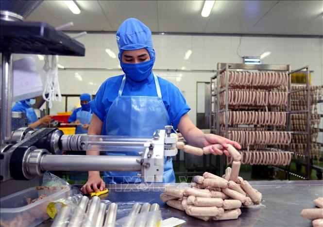 Photo: The Japan-invested Nippon Ham Co. Ltd in the Long Hau IZ, the southern province of Long An. VNA Photo: Danh Lam