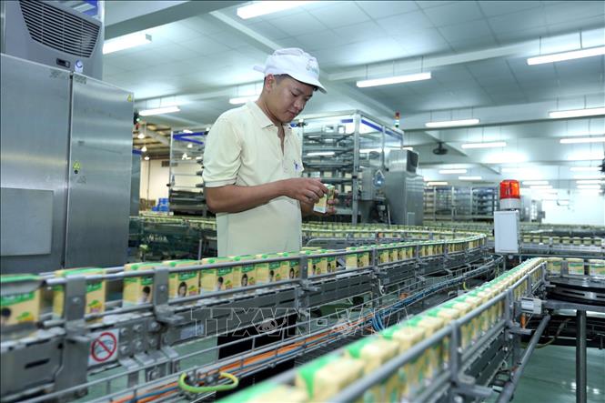 Vinasoy Bắc Ninh chú trọng đầu tư hiện đại hóa dây chuyền sản xuất hướng  tới thị trường xuất khẩu - Ảnh chuyên đề - Thông tấn xã Việt Nam (TTXVN)