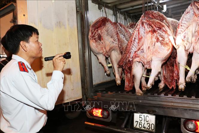Trong ảnh: Thanh tra Ban Quản lý an toàn thực phẩm thành phố Hồ Chí Minh kiểm tra tại Chợ đầu mối nông sản thực phẩm Hóc Môn. Ảnh: Đinh Hằng - TTXVN