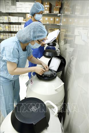 Trong ảnh: Bệnh viện Phụ sản Hà Nội phát triển nhiều kỹ thuật cao trong lĩnh vực hỗ trợ sinh sản như: Hỗ trợ phôi làm tổ, cào niêm mạc tử cung, xét nghiệm phân mảnh tinh trùng DNA, xét nghiệm AZF, sinh thiết phôi, đông - rã noãn, đông - rã mô tinh hoàn… mang lại hạnh phúc cho hàng trăm cặp vợ chồng hiếm muộn. Ảnh: Dương Ngọc – TTXVN