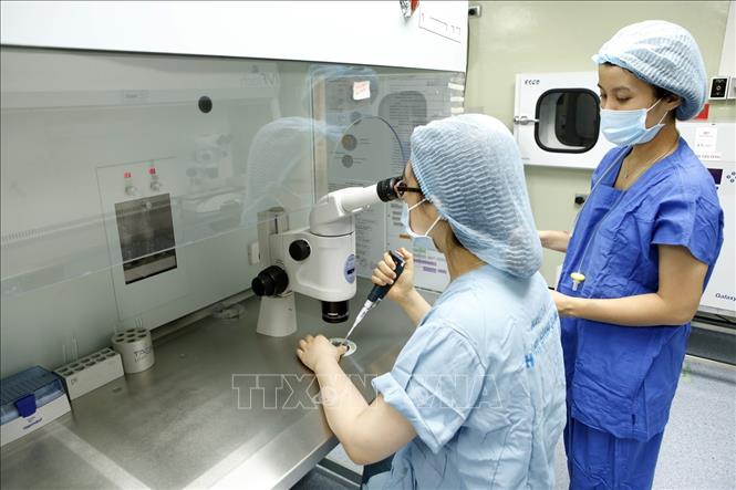 Trong ảnh: Bệnh viện Phụ sản Hà Nội phát triển nhiều kỹ thuật cao trong lĩnh vực hỗ trợ sinh sản như: Hỗ trợ phôi làm tổ, cào niêm mạc tử cung, xét nghiệm phân mảnh tinh trùng DNA, xét nghiệm AZF, sinh thiết phôi, đông - rã noãn, đông - rã mô tinh hoàn… mang lại hạnh phúc cho hàng trăm cặp vợ chồng hiếm muộn. Ảnh: Dương Ngọc – TTXVN