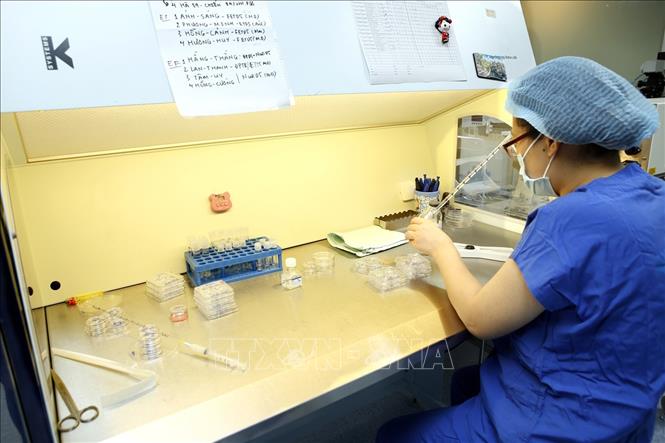 Trong ảnh: Bệnh viện Phụ sản Hà Nội phát triển nhiều kỹ thuật cao trong lĩnh vực hỗ trợ sinh sản như: Hỗ trợ phôi làm tổ, cào niêm mạc tử cung, xét nghiệm phân mảnh tinh trùng DNA, xét nghiệm AZF, sinh thiết phôi, đông - rã noãn, đông - rã mô tinh hoàn… mang lại hạnh phúc cho hàng trăm cặp vợ chồng hiếm muộn. Ảnh: Dương Ngọc – TTXVN