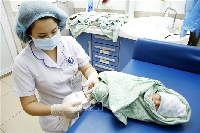 Trong ảnh: Kỹ thuật lấy mẫu máu gót chân của sơ sinh trong 24 - 72 giờ đầu sau sinh sàng lọc 32 bệnh chuyển hóa tại bệnh viện Phụ sản Hà Nội. Ảnh: Dương Ngọc - TTXVN
