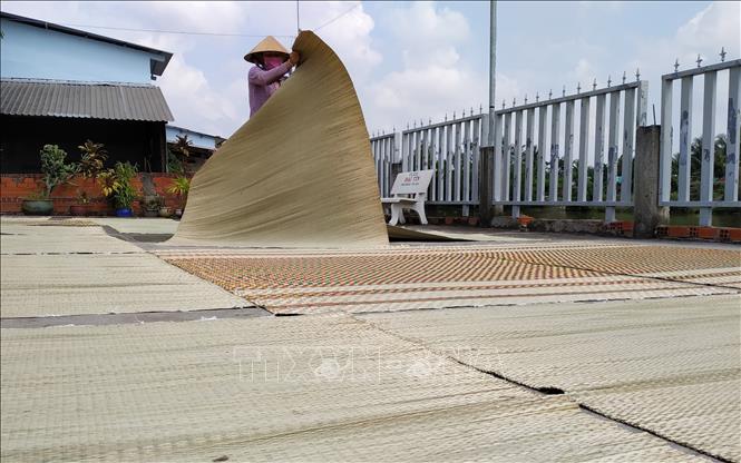 Photo: Long Dinh mats are not only nice, thick and durable, but also smooth and airy. VNA Photo: Nam Thái