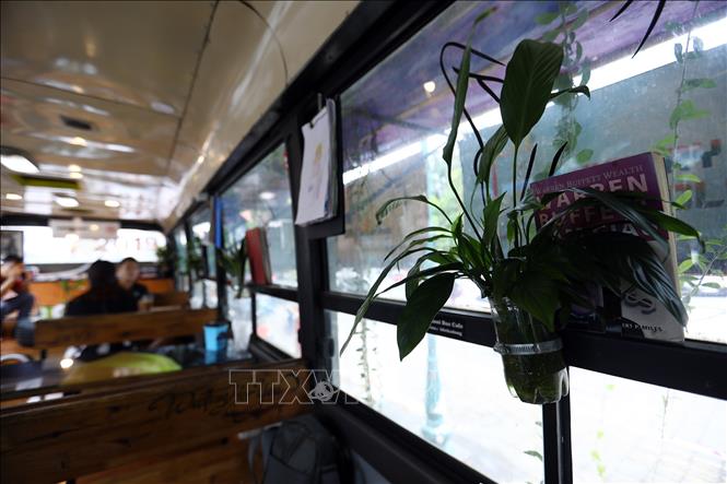 Trong ảnh: Những lọ cắm hoa, cây cảnh được tận dụng từ những vỏ chai nhựa một cách khéo léo. Ảnh: Huy Hùng - TTXVN