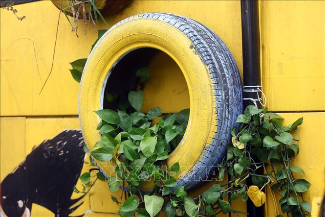 Trong ảnh: Lốp ô tô được tận dụng làm chậu hoa, cây cảnh. Ảnh: Huy Hùng - TTXVN