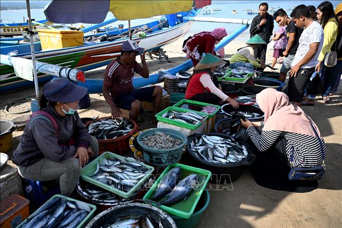 Trong ảnh: Người dân mua bán cá tại chợ ở Kedonganan trên đảo Bali, Indonesia, ngày 17/10/2019. Ảnh: AFP/ TTXVN