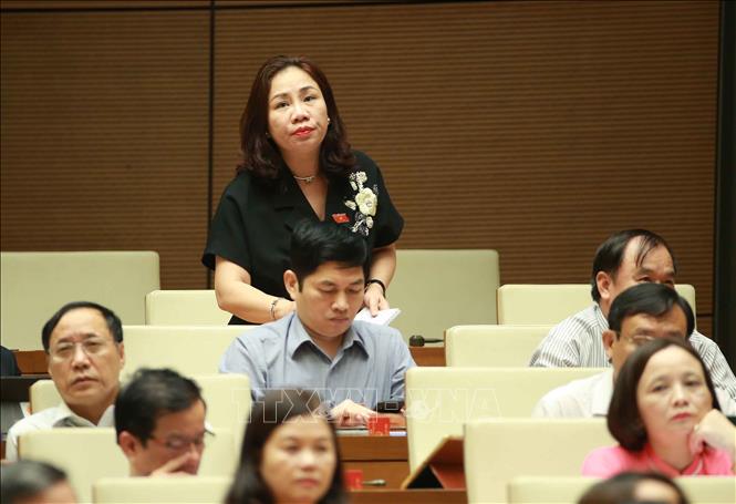 Trong ảnh: Đại biểu Quốc hội tỉnh Hà Nam Trần Thị Hiền chất vấn Bộ trưởng Bộ Công Thương Trần Tuấn Anh. Ảnh: Doãn Tấn - TTXVN