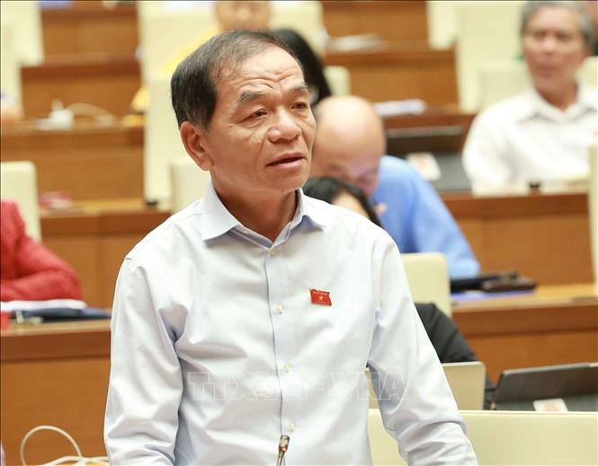 Trong ảnh: Đại biểu Quốc hội tỉnh Cà Mau Lê Thanh Vân chất vấn Bộ trưởng Bộ Công Thương Trần Tuấn Anh. Ảnh: Doãn Tấn - TTXVN
