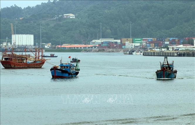 Trong ảnh: Tàu cá của ngư dân các tỉnh ven biển miền Trung đang về neo đậu tránh bão số 6 tại Âu thuyền Thọ Quang (Đà Nẵng). Ảnh: Trần Lê Lâm - TTXVN