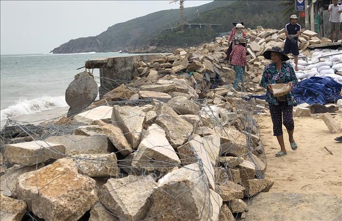  Người dân thôn Hải, xã Nhơn Hải, thành phố Quy Nhơn đắp kè đá ngăn sóng biển. Ảnh: Nguyên Linh - TTXVN