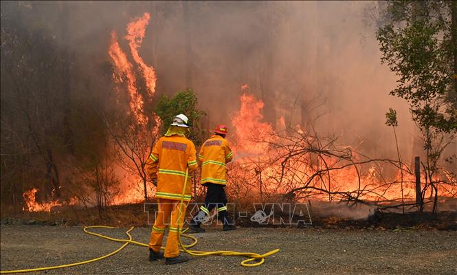 Trong ảnh: Lính cứu hỏa nỗ lực dập lửa cháy rừng tại Taree, bang New South Wales, Australia ngày 9/11/2019. Ảnh: AFP/TTXVN
