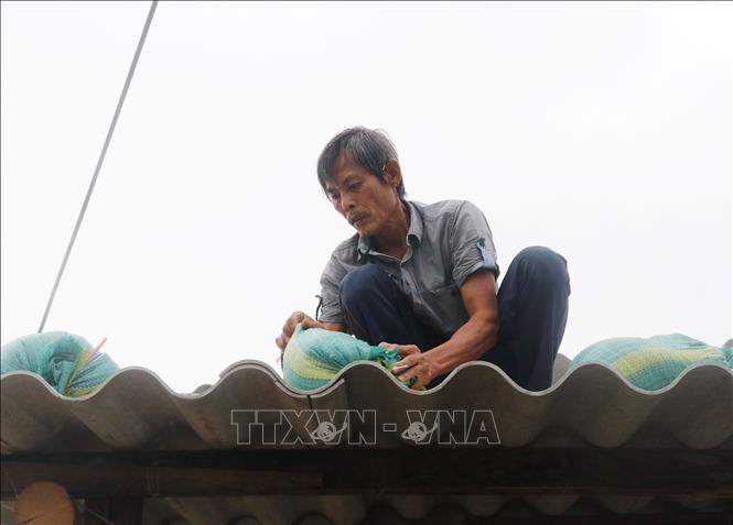 Trong ảnh: Công tác gia cố lại nhà ở để đảm bảo an toàn trước khi bão đổ bộ đang được người dân tỉnh Phú Yên khẩn trương thực hiện. Ảnh: Phạm Cường-TTXVN