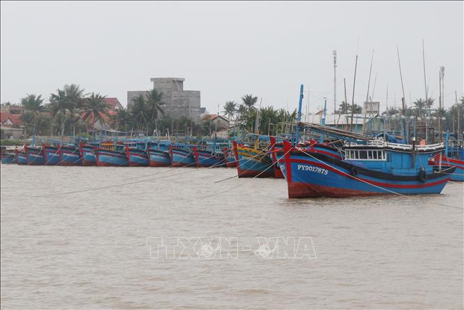 Trong ảnh: Tàu thuyền của ngư dân được đưa vào neo đậu tránh bão tại cảng cá Đông Tác, thành phố Tuy Hòa. Ảnh: Phạm Cường-TTXVN