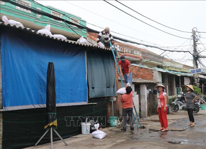 Trong ảnh: Người dân phường 6, thành phố Tuy Hòa hỗ trợ nhau gia cố lại nhà ở trước khi bão đổ bộ. Ảnh: Phạm Cường-TTXVN