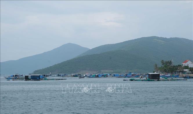 Trong ảnh: Một số lồng bè nuôi tôm hùm được người dân lai dắt đến khu vực trước cảng Vân Phong (xã Vạn Thạnh, Vạn Ninh) để tránh trú bão số 6. Ảnh: Nguyễn Dũng – TTXVN