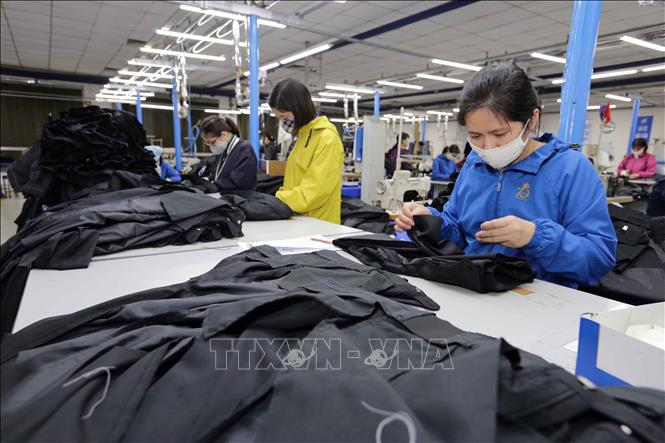 Trong ảnh: May veston xuất khẩu tại Xí nghiệp may veston Hà Nội, Sài Đồng, Long Biên. Ảnh: Trần Việt - TTXVN
