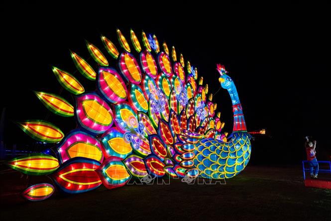 Trong ảnh: Tác phẩm đèn lồng hình con công được trưng bày tại Lễ hội đèn lồng nghệ thuật 