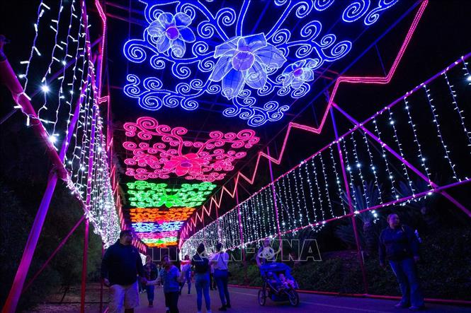 Trong ảnh: Du khách chiêm ngưỡng các tác phẩm tại Lễ hội đèn lồng nghệ thuật 