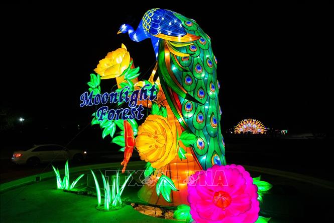 Trong ảnh: Tác phẩm đèn lồng hình con công trưng bày tại Lễ hội đèn lồng nghệ thuật 