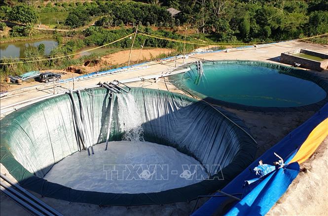 Trong ảnh: Các bể chứa để tiến hành tách tinh quặng đất hiếm. Ảnh: Quốc Khánh - TTXVN