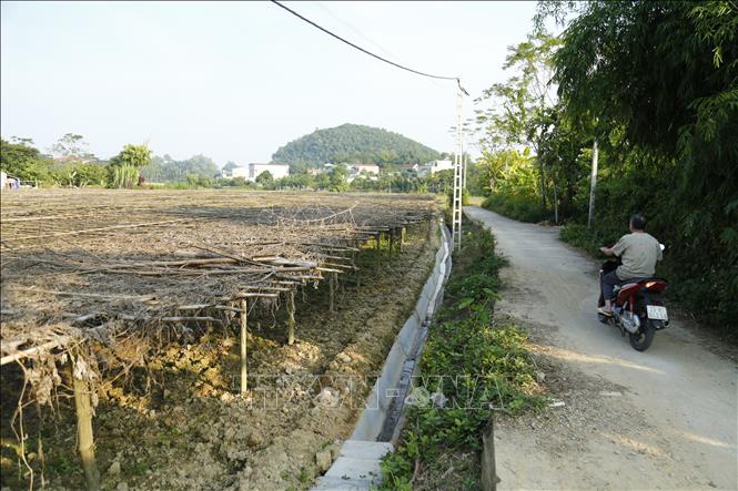Trong ảnh: Bê tông hóa các tuyến kênh mương phục vụ sản xuất nông nghiệp. Ảnh: Nam Sương - TTXVN