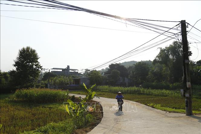 Trong ảnh: Trên 96% đường ngõ xóm được bê tông hóa. Ảnh: Nam Sương - TTXVN