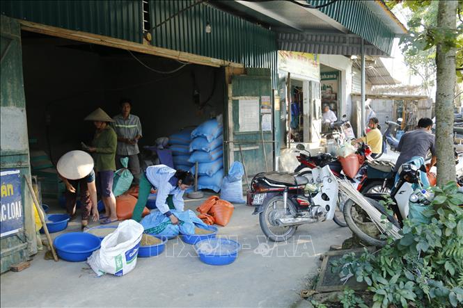 Trong ảnh: Cơ sở xay sát lúa gần trung tâm xã. Ảnh: Nam Sương - TTXVN