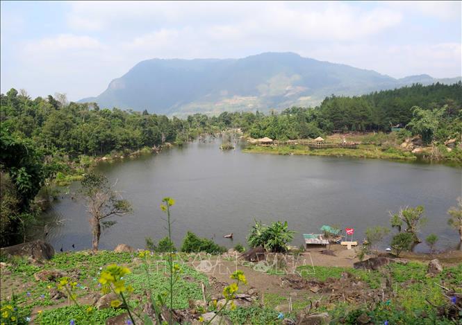 Trong ảnh: Là 