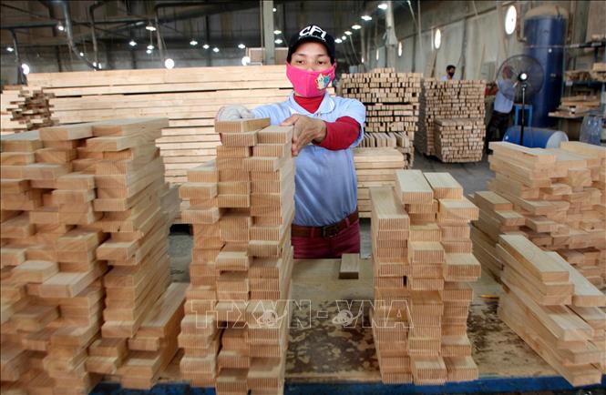 Nhờ những thành tích to lớn về xuất khẩu, nông nghiệp là ngành duy nhất luôn luôn xuất siêu. Trong ảnh: Công ty cổ phần gỗ Minh Dương – Chu Lai đầu tư xây dựng nhà máy sản xuất, chế biến gỗ và các sản phẩm gỗ xuất khẩu tại Khu công nghiệp Bắc Chu Lai, huyện Núi Thành (Quảng Nam), chủ yếu xuất khẩu sang thị trường Nhật Bản, Anh với kim ngạch mỗi năm đạt hơn 42 triệu USD. Ảnh: Trần Việt - TTXVN
