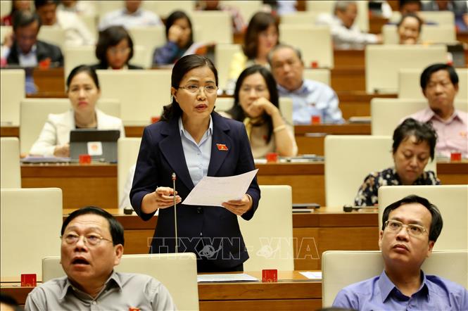Trong ảnh: Đại biểu Quốc hội tỉnh Quảng Ninh Đỗ Thị Lan thảo luận về dự án Luật sửa đổi, bổ sung một số điều của Luật Tổ chức Quốc hội. Ảnh: Dương Giang - TTXVN
