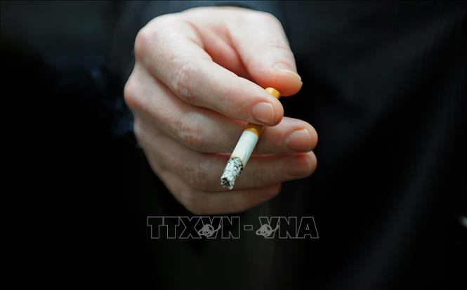 Trong ảnh (tư liệu): Người dân hút thuốc lá tại Sydney, Australia. Ảnh: AFP/ TTXVN