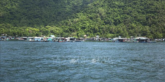 Trong ảnh: Mô hình nuôi biển ở Bãi Nam, xã Hòn Nghệ. Ảnh: Hồng Đạt - TTXVN
