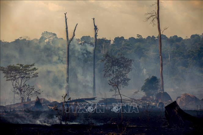 Trong ảnh: Khói bốc lên từ đám cháy rừng Amazon tại Altamira, bang Para, Brazil, ngày 27/8/2019. Ảnh: AFP/ TTXVN