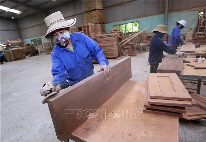 Trong ảnh: Sản xuất gỗ ghép thanh tại Công ty TNHH Phú Thịnh, thị trấn Vôi, huyện Lạng Giang góp phần tạo việc làm và nâng cao thu nhập của người dân. Ảnh: Danh Lam – TTXVN