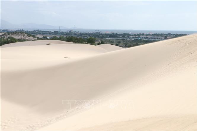 Trong ảnh: Những triền cát nhấp nhô, uốn lượn tuyệt đẹp của đồi cát Nam Cương. Ảnh: Nguyễn Thành – TTXVN