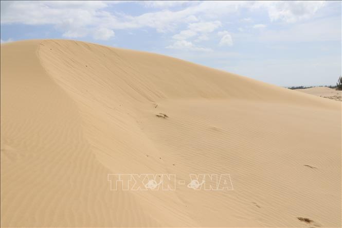 Trong ảnh: Những triền cát uốn cong do gió biển tạo thành. Ảnh: Nguyễn Thành – TTXVN