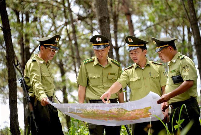 Trong ảnh: Lực lượng kiểm lâm huyện Hoành Bồ, tỉnh Quảng Ninh kiểm tra, đối chiếu giữa bản đồ và thực tế kiểm tra việc sử dụng đất, không để xảy ra tình trạng tranh chấp đất rừng. Ảnh: Quang Quyết-TTXVN