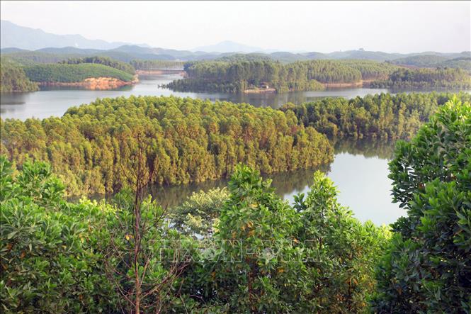 Trong ảnh: Rừng trồng của người dân huyện Yên Bình trong lòng hồ Thác Bà, tỉnh Yên Bái. Ảnh: Thế Duyệt – TTXVN

