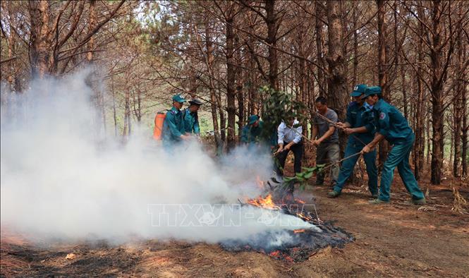 Trong ảnh: Chi cục Kiểm lâm tỉnh Gia Lai tăng cường kiểm tra, tuyên truyền và tổ chức diễn tập các phương án phòng cháy, chữa cháy rừng trong mùa khô năm 2019. Ảnh: Hồng Điệp - TTXVN