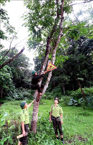Trong ảnh: Lực lượng Kiểm lâm huyện Hương Sơn lắp đặt các biển báo nhằm giảm nguy cơ cháy rừng và nâng cao ý thức bảo vệ rừng trong nhân dân. Ảnh: Quang Quyết-TTXVN

