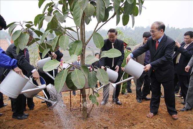 Trong ảnh: Phó Thủ tướng Nguyễn Sinh Hùng trồng cây tại Khu di tích lịch sử Đền Hùng (Phú Thọ) trong Lễ phát động “Tết trồng cây đời đời ơn Bác Hồ” Xuân Kỷ Sửu, sáng 31/1/2009. Ảnh: Anh Tuấn – TTXVN