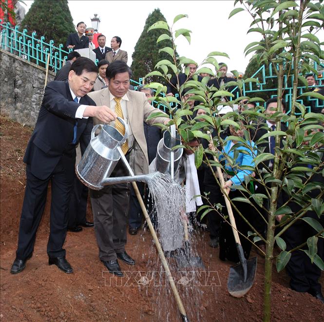 Trong ảnh: Chủ tịch nước Nguyễn Minh Triết tham gia trồng cây trong khuôn viên khu Tượng đài Chủ tịch Hồ Chí Minh ở thành phố Hoà Bình, tại Lễ phát động “Tết trồng cây đời đời nhớ ơn Bác Hồ” ở thị trấn Cao Phong, tỉnh Hòa Bình, sáng 1/2/2009. Ảnh: Nguyễn Khang - TTXVN