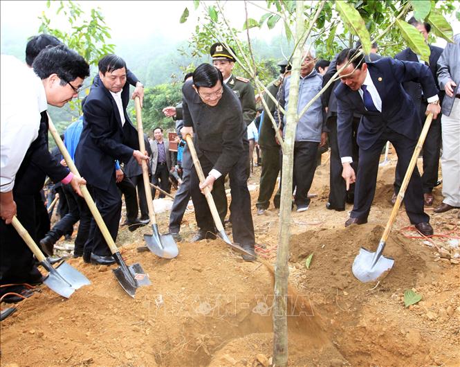 Trong ảnh: Chủ tịch nước Trương Tấn Sang tham gia “Tết trồng cây đời đời nhớ ơn Bác Hồ” tại khu Đền thờ Mẹ Việt Nam Anh hùng ở phường Hàm Rồng, thành phố Thanh Hóa, sáng 7/2/2014. Ảnh: Nguyễn Khang - TTXVN