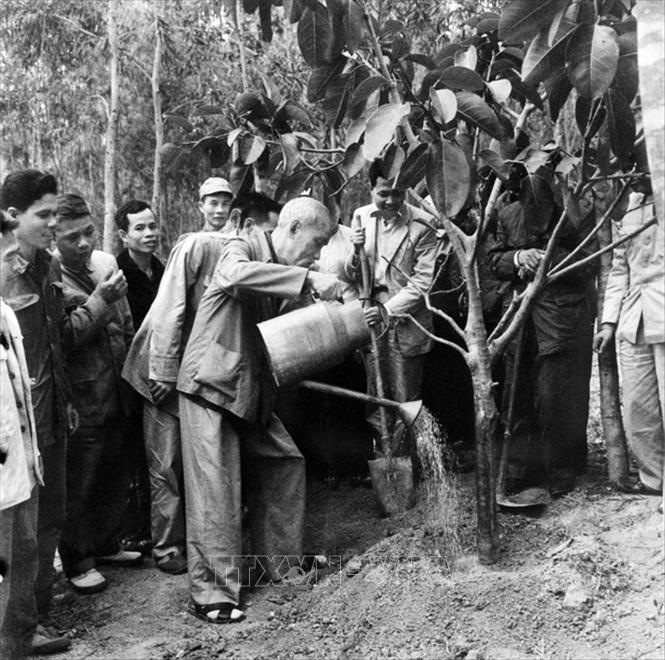 Trong ảnh: Chủ tịch Hồ Chí Minh trồng cây đa lưu niệm trên đồi cây của xã Vật Lại, huyện Ba Vì, tỉnh Hà Tây (nay là Hà Nội), sáng 16/2/1969 (mùng 1 Tết), mở đầu Tết trồng cây Xuân Kỷ Dậu. Ảnh: Tư liệu TTXVN